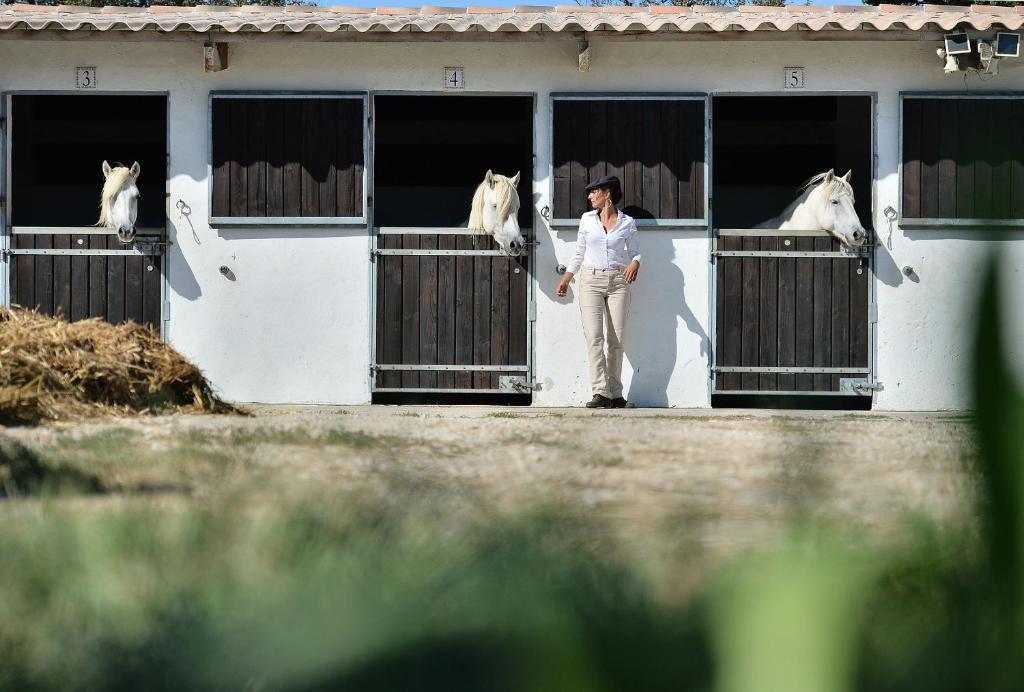 Mas De La Grenouillere Hotel Et Centre Equestre En Pleine Nature Saintes-Maries-de-la-Mer Exterior photo