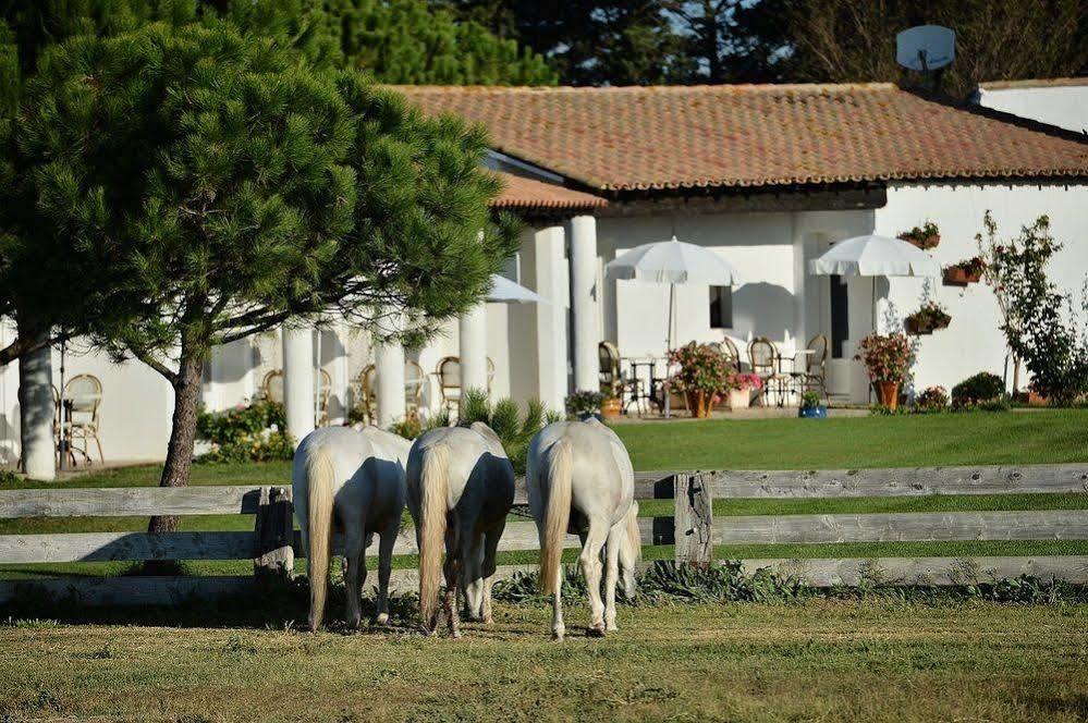 Mas De La Grenouillere Hotel Et Centre Equestre En Pleine Nature Saintes-Maries-de-la-Mer Exterior photo